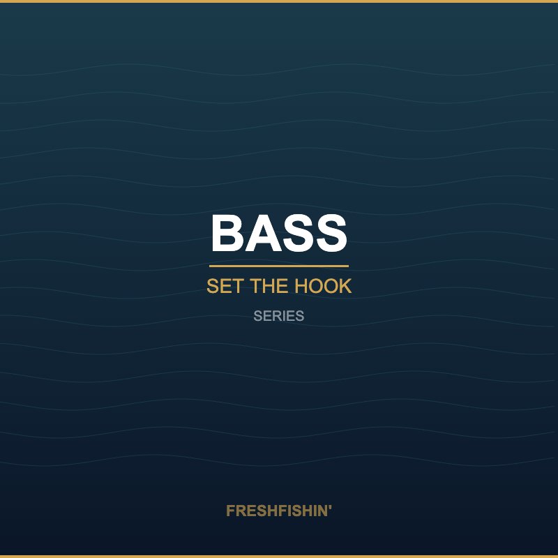 Bass Series - FreshFishin