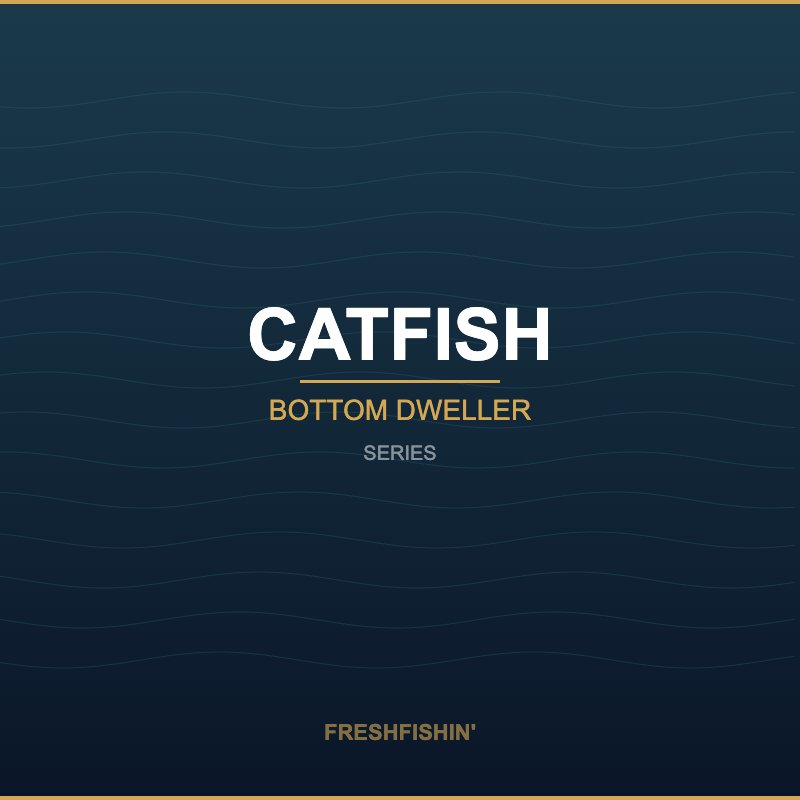 Catfish Series - FreshFishin