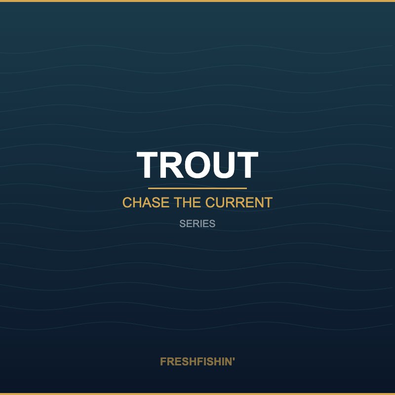 Trout Series - FreshFishin